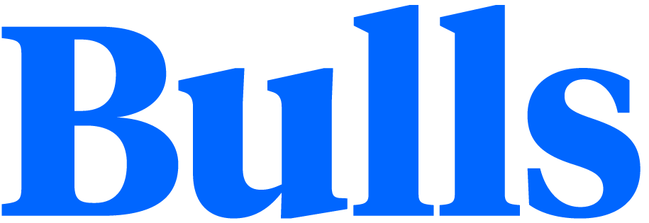 Bullsmedia.de logo