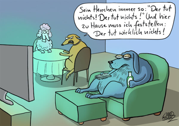 Ein Tag ein Tier Bullsmedia.de