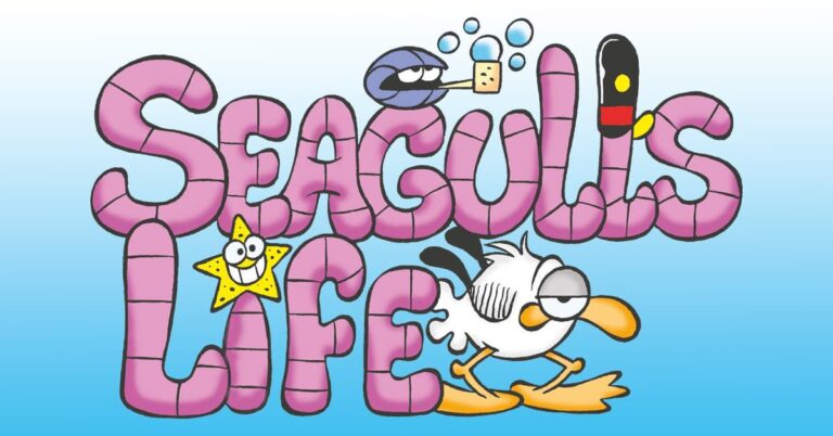 Seagull's Life